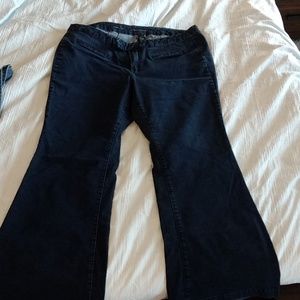 Lane Bryant Denim Flare Trousers